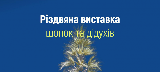 У Дрогобичі завтра розгорнуть виставку різдвяних шопок та дідухів