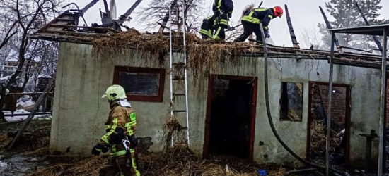 Вогнеборці на Стрийщині врятували під час пожежі козу