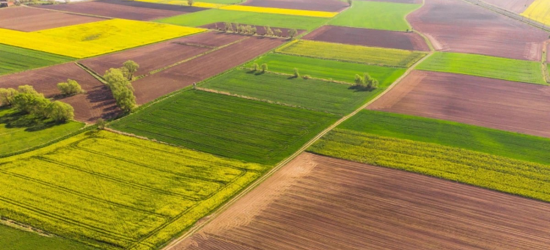 На Львівщині відбудуться електронні земельні торги