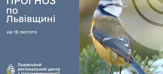 Уночі на Львівщині очікують до -17 градусів: погода на вівторок