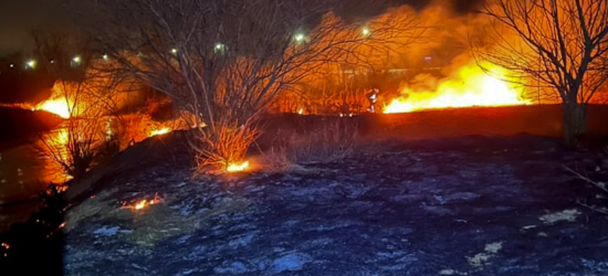 За добу на Львівщині ліквідували майже 100 пожеж сухостою