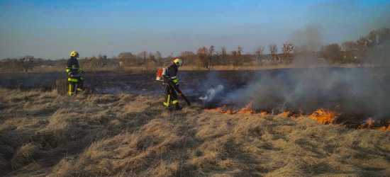 На Львівщині вчора ліквідували  90 пожеж сухостою: в одній із них ледь не згоріла будівля