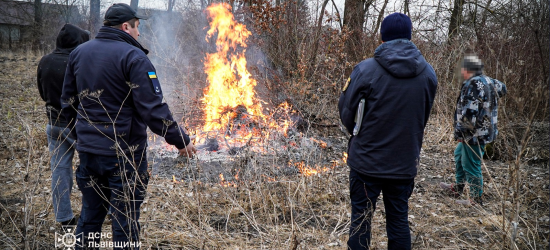 Учора на Львівщині спіймали 4 паліїв сухостою