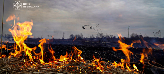 На Львівщині внаслідок пожежі сухостою опіки обличчя отримала 68-річна жінка