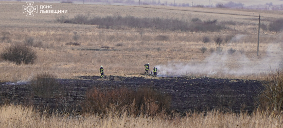 Учора на Львівщині спіймали 7 паліїв сухої трави