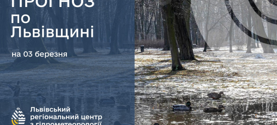 На понеділок у Львові прогнозують мокрий сніг, туман та ожеледицю