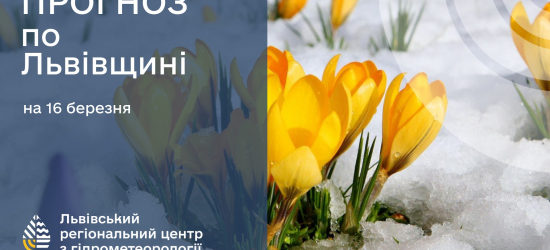 У неділю у Львові падатиме сніг: погода на 16 березня