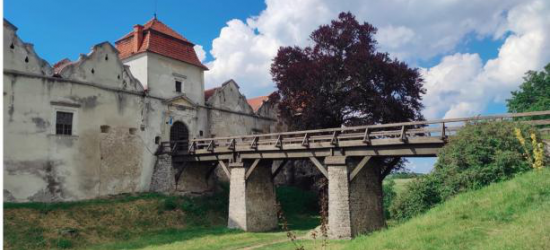 Замок із фільмів, модерні скульптури і «моря» квітів: Бібреччина запрошує туристів