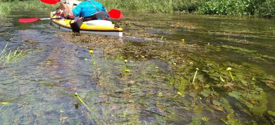 Львівська Амазонія: усіх охочих запрошують на сплави Ратою