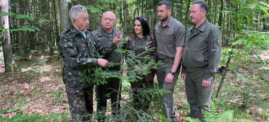 Держлісагентство проводить на Львівщині розширену колегію щодо наближеного до природи лісівництва