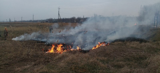 За добу рятувальники Львівщини 8 разів гасили пожежі в екосистемах