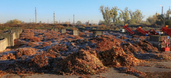 У Львові на станцію компостування за день привезли 62 машини органіки