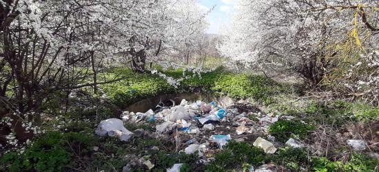 Держекоінспекція Львівщини виявила стихійні сміттєзвалища на території трьох громад