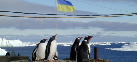 Розпочався конкурс відбору кандидатів до складу 29-ї Української антарктичної експедиції