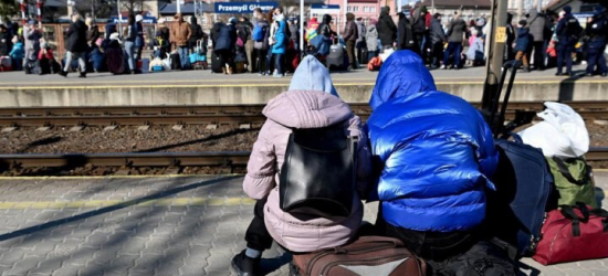 У Польщі з наступного року можуть скоротити допомогу українським біженцям