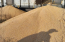 У Польщі розсипали з вагонів 160 тонн українського зерна (ФОТО)