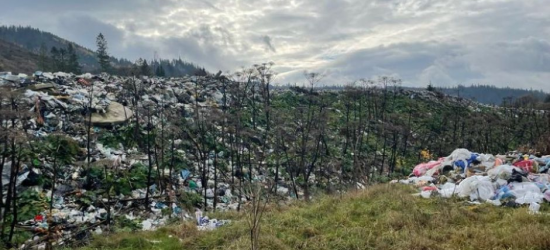 У Славську комунальне підприємство незаконно викинуло відходів на 2,5 млн грн (ФОТО)