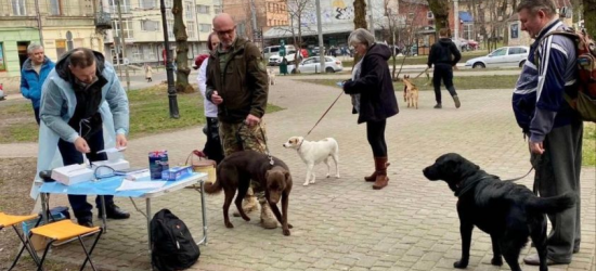 У Лисиничах безкоштовно вакцинуватимуть від сказу домашніх тварин