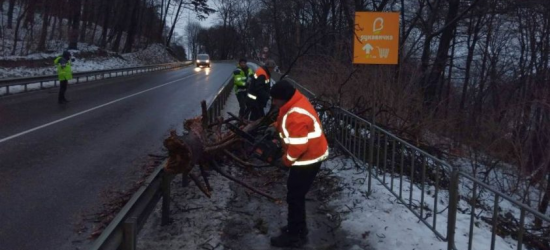 Сильний вітер у Львові спричинив падіння дерев та обрив електромережі