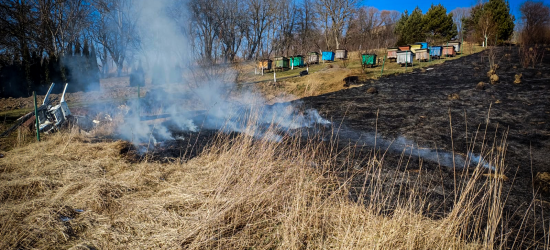 У Самбірському районі під час пожежі сухої трави травмувалася жінка