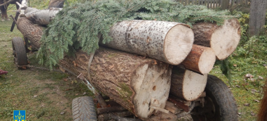 На Львівщині винесли вирок чоловіку за вирубування дерев у парку «Бойківщина» на майже 0,5 млн грн