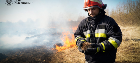 На масштабній пожежі сухостою у Підбірцях вогнеборці врятували їжачка