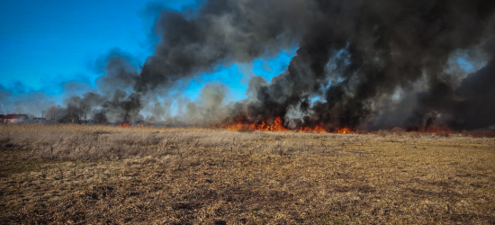 На Львівщині вчора вигоріло понад 6 га землі: двоє людей постраждали