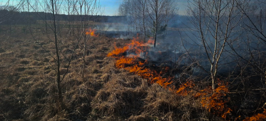 За минулу добу надзвичайники Львівщини ліквідували 68 пожеж