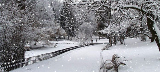 Неділя у Львові буде хмарною та зі снігом: погода на 23 січня