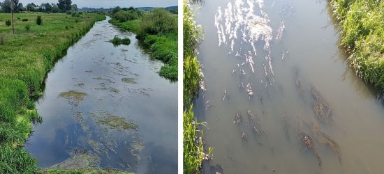Держекоінспекція підтвердила забруднення річки Верещиця і звернулась до поліції 