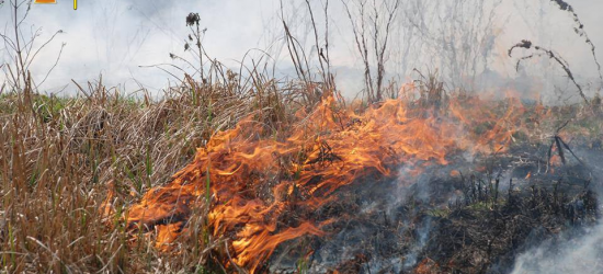 За добу рятувальники Львівщини 19 разів гасили пожежі сухостою