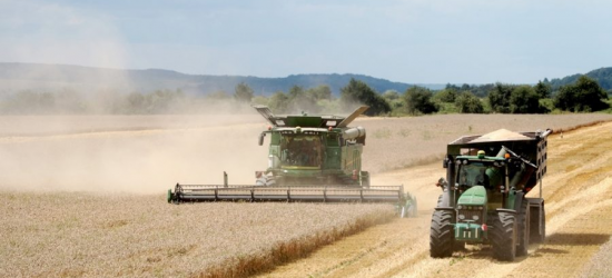 В Україні аграрії зібрали вже 17,5 млн тонн зерна