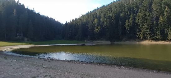 Озеро Синевир рекордно обміліло через засуху (ВІДЕО)