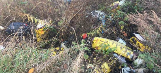 На Яворівщині виявили спалювання відходів та хаотичні несанкціоновані сміттєзвалища (ФОТО)