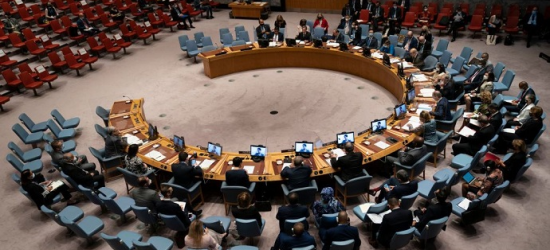 Пропозиція України виключити росії з Радбезу ООН не має підтримки  – МЗС Естонії