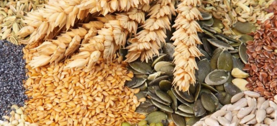Аграрії Львівщини можуть відшкодувати половину вартості насіння сільськогосподарських культур