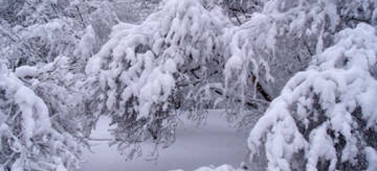 Сильний сніг, пориви вітру та хуртовини: на завтра на Львівщині оголосили штормове попередження