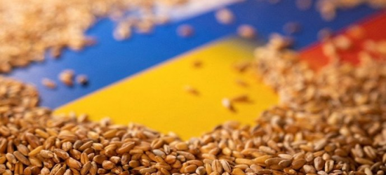 Сольський на засіданні Ради ЄС закликав скасувати обмеження на імпорт української аграрної продукції 
