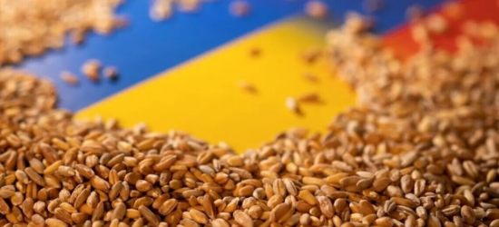 У Єврокомісії внесли пропозицію продовжити обмеження на імпорт українського зерна