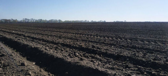 Україна потерпає від ґрунтової засухи, умови для сівби озимини несприятливі – Гідрометеоцентр
