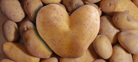 Українцям спрогнозували зміну цін на картоплю найближчим часом